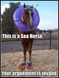 seahorse